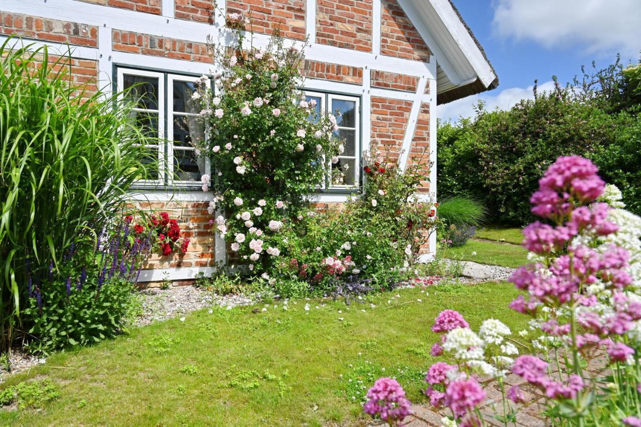 Landhaus Vilmnitz - Wohnung 7 Esterno foto