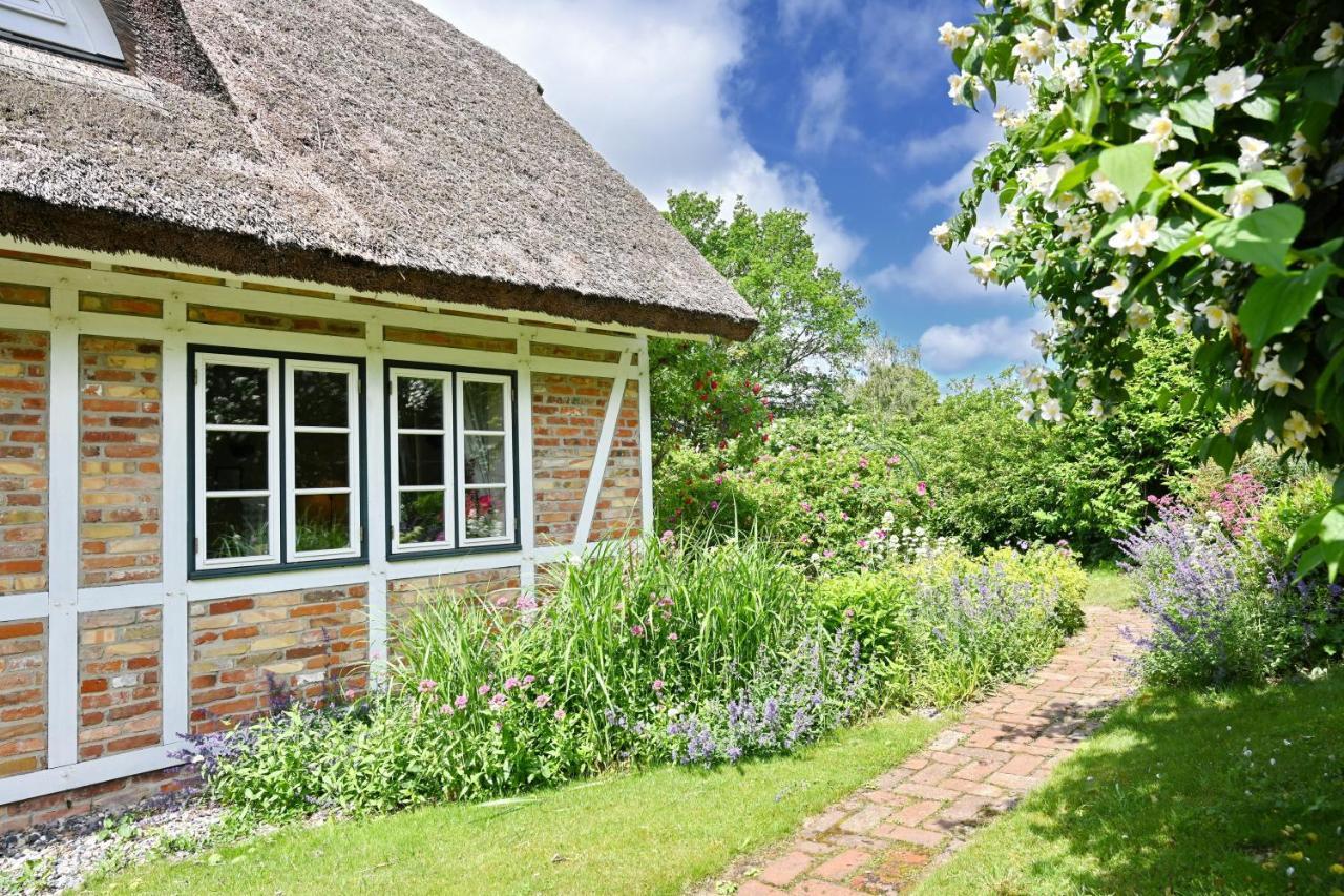 Landhaus Vilmnitz - Wohnung 7 Esterno foto