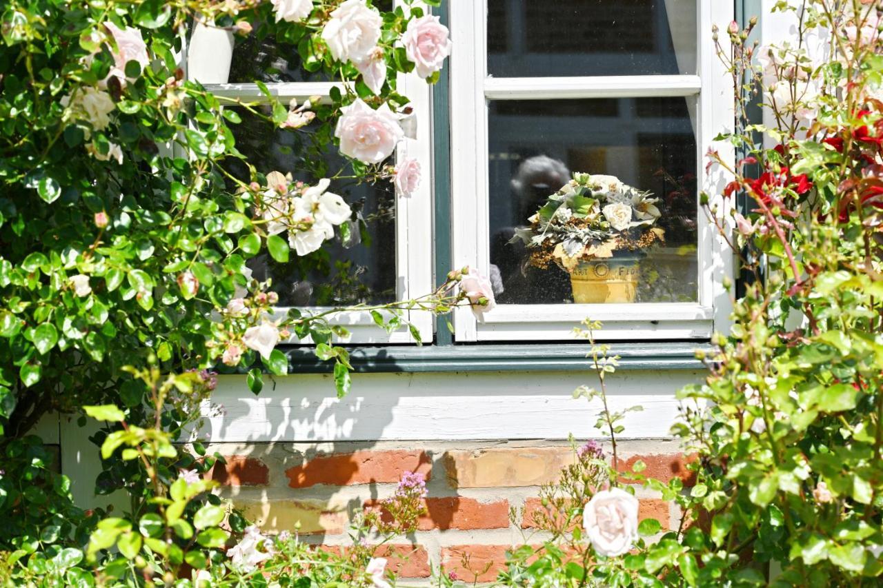 Landhaus Vilmnitz - Wohnung 7 Esterno foto